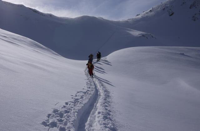 1170505.jpg