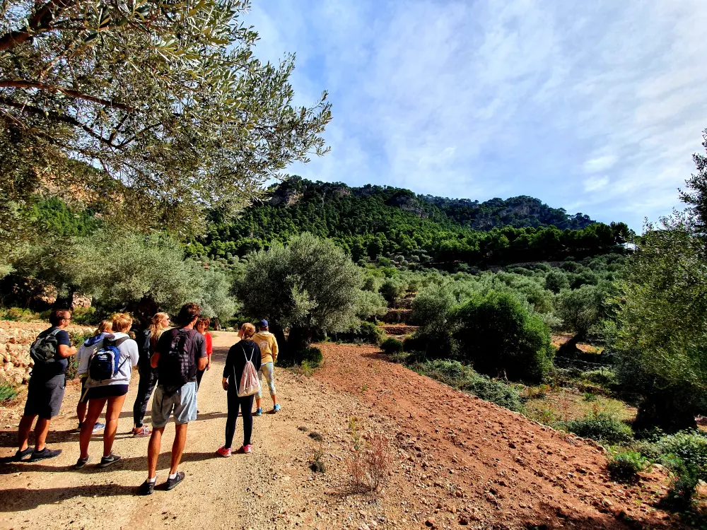 20201008 094619