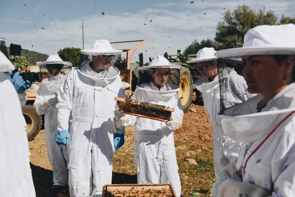 Beekeeper Xperience Mallorca