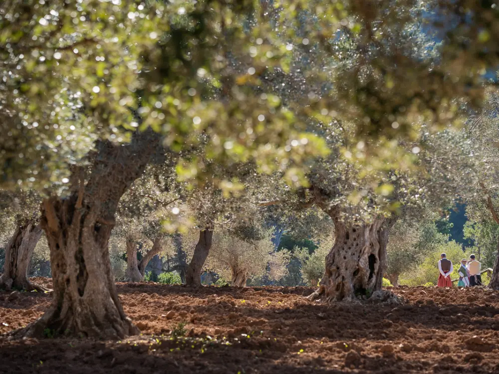 Artisan products Mallorca