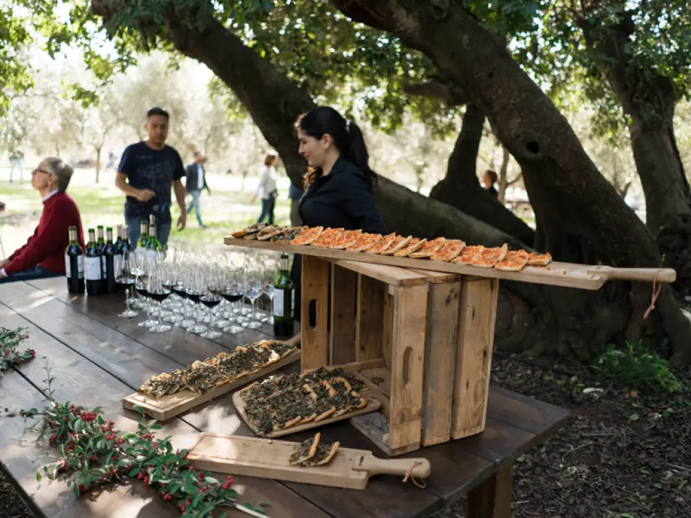 Cata de productos locales Mallorca