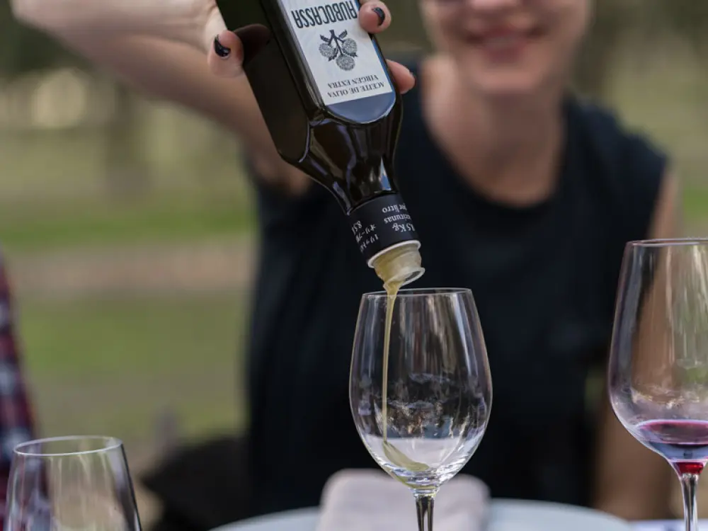 Cata de aceite de oliva Baleares