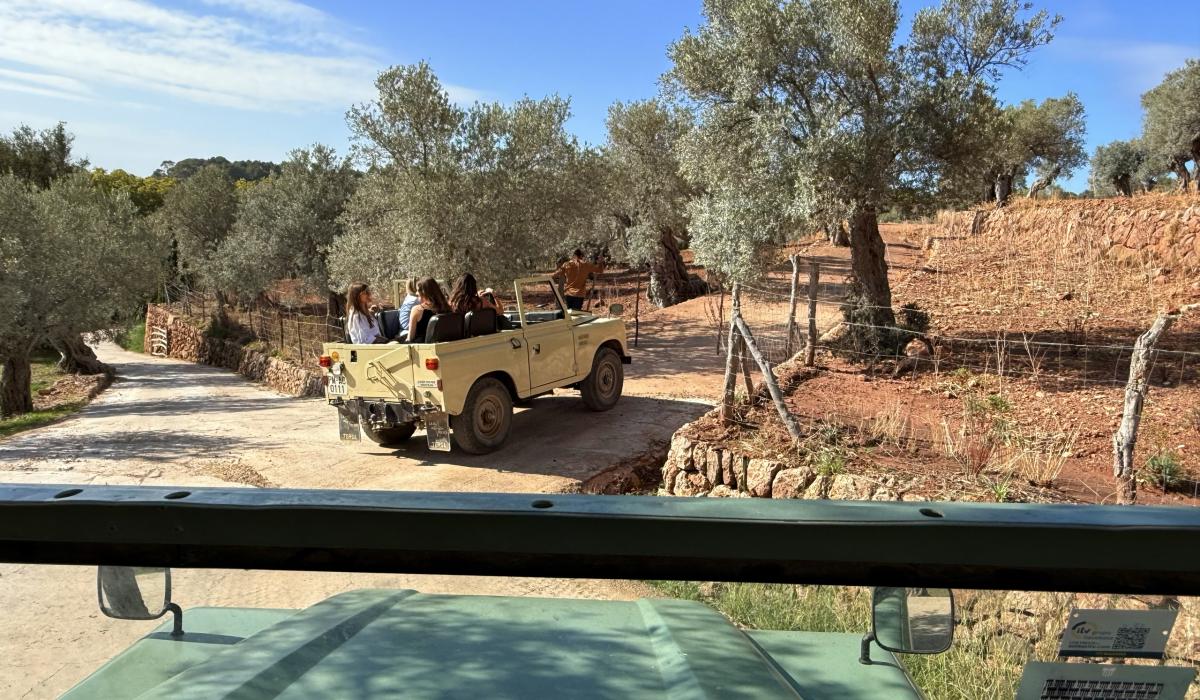 AuthenticMallorca-LifeXperiences-2.jpg