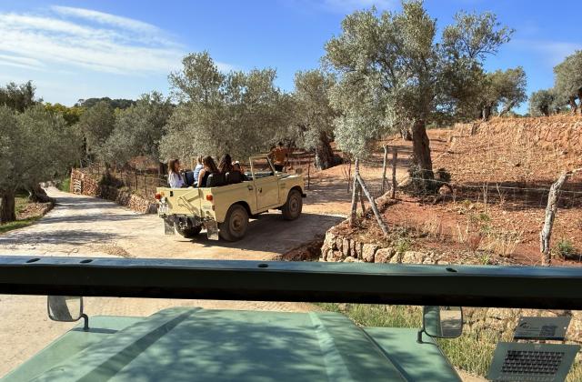 AuthenticMallorca-LifeXperiences-2.jpg