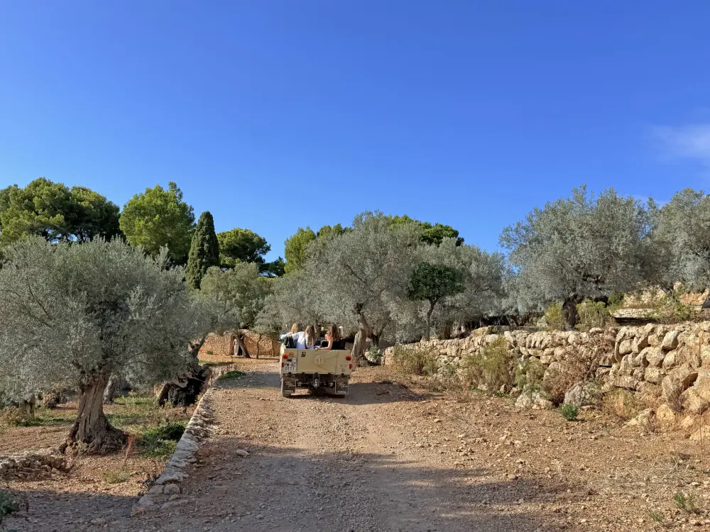 AuthenticMallorca LifeXperiences 6
