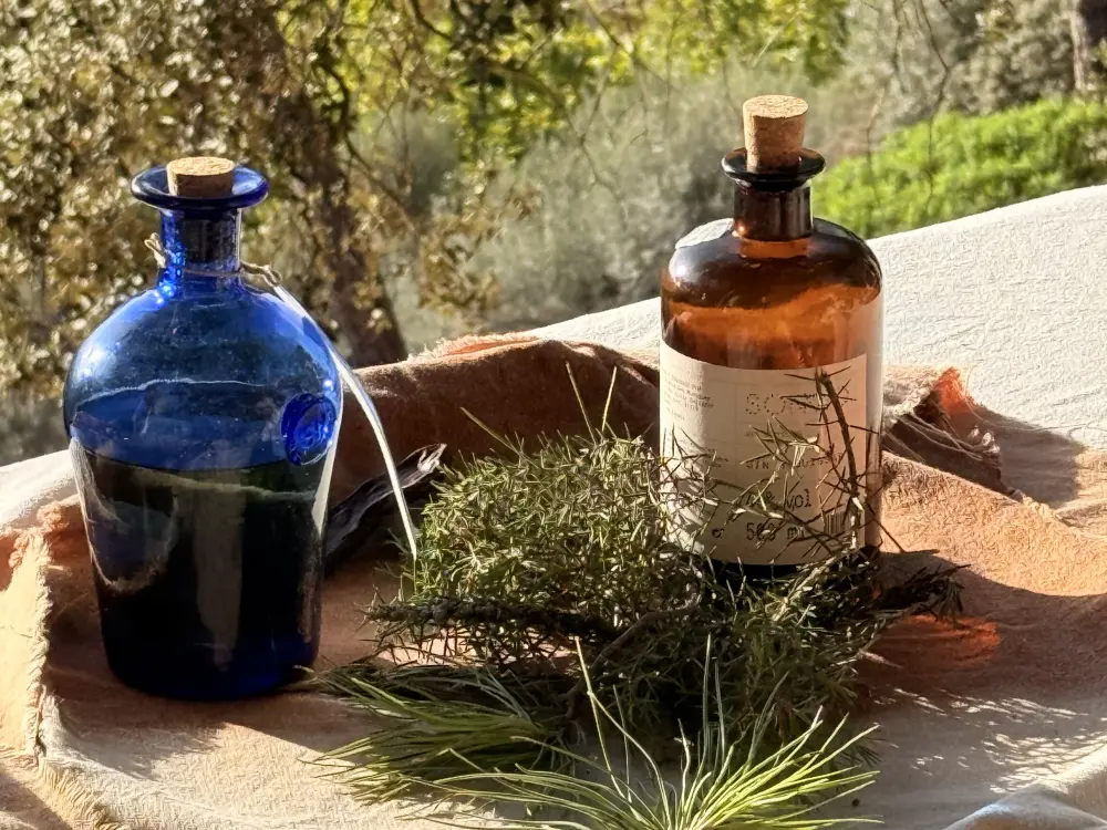 AuthenticMallorca LifeXperiences 7