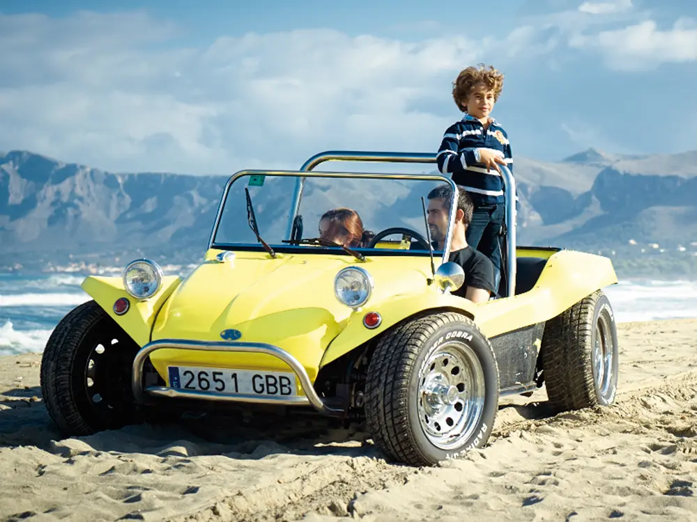 Beach Buggy Tour Landscape