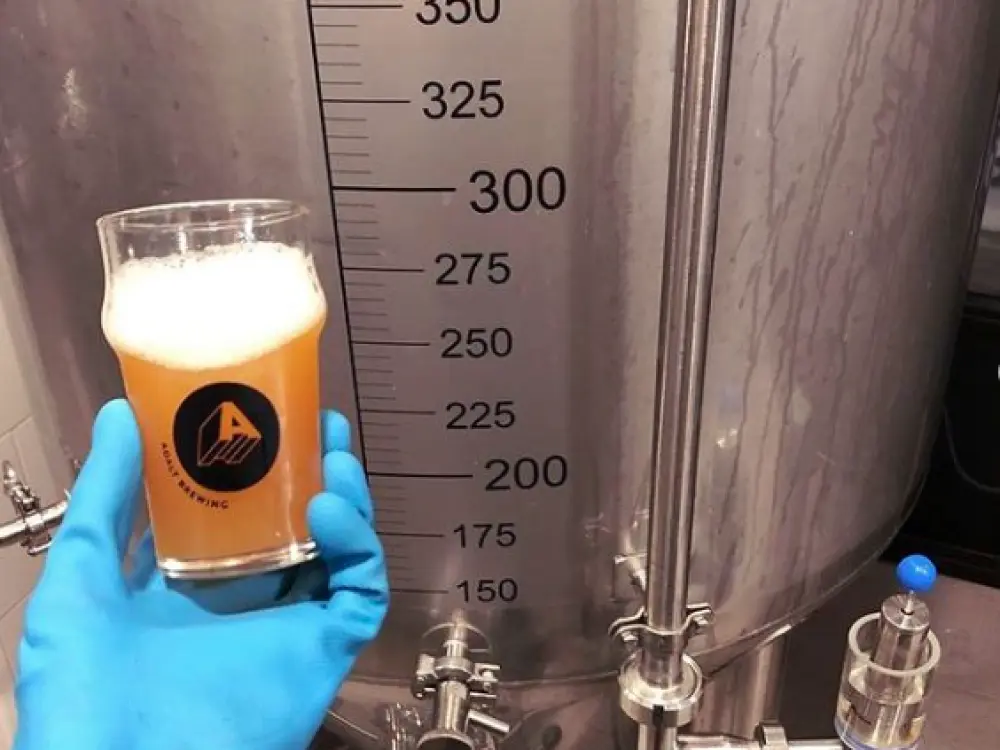 Cata de cerveza online