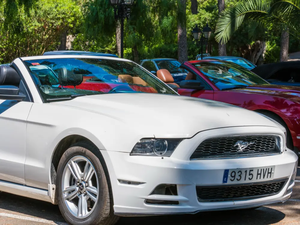 Cabrio Rally Incentives Mallorca 4
