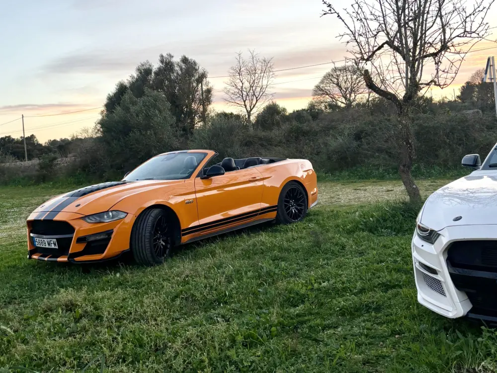 Cabrio Rally Incentives Mallorca