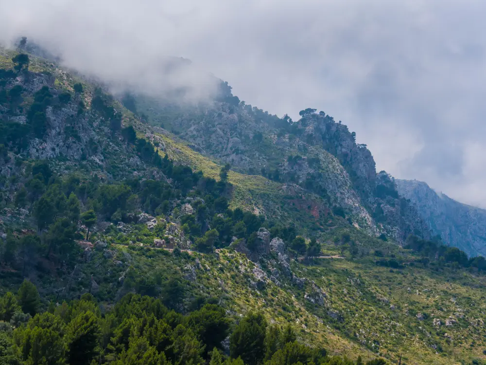 Cabrio Tour Paisaje