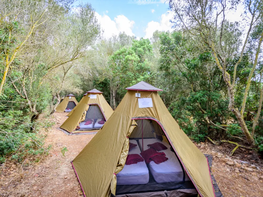 Camping Incentive