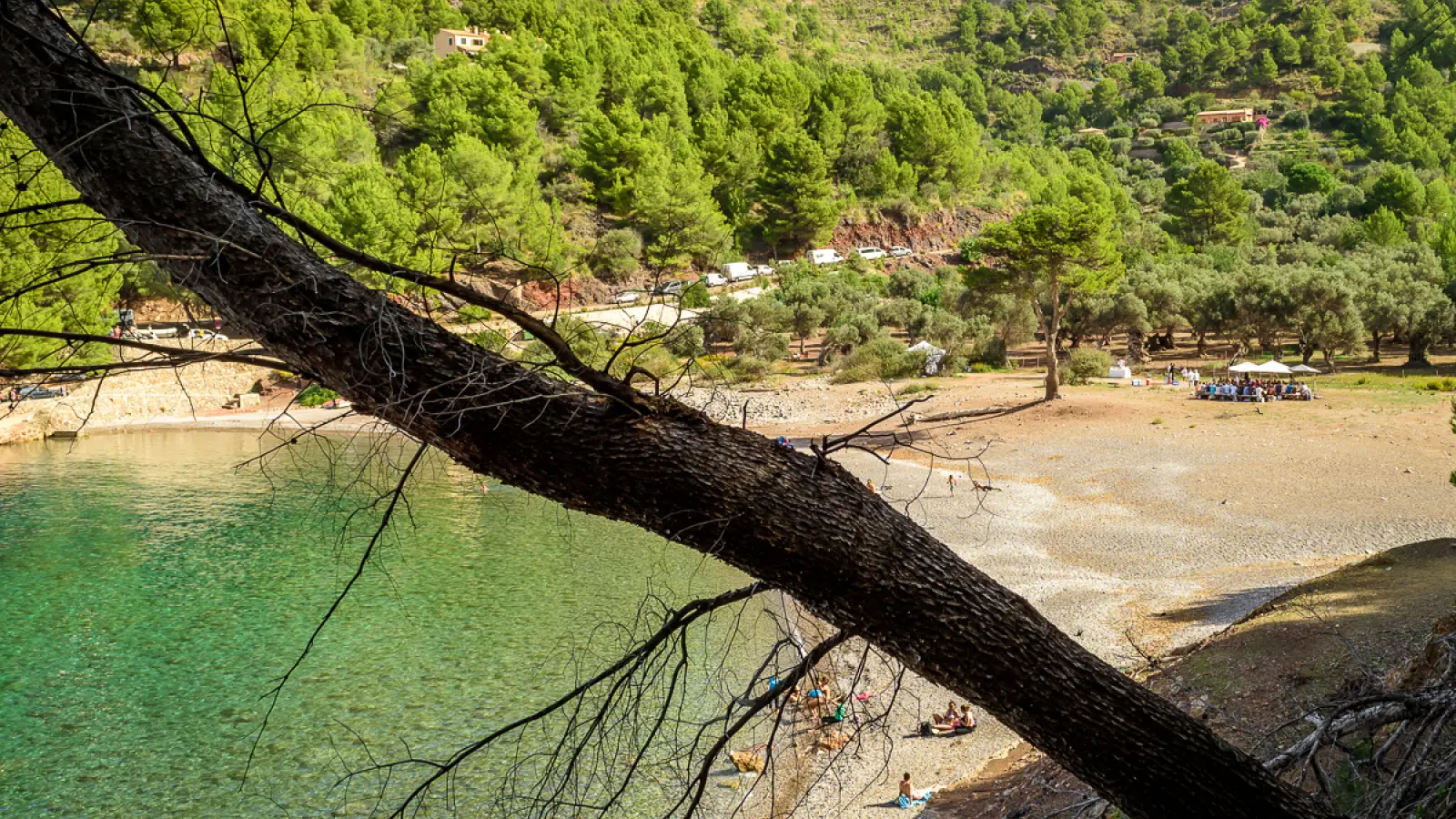 Coaching Eventagentur Ibiza