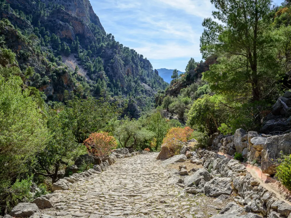 Coaching Incentive Mallorca