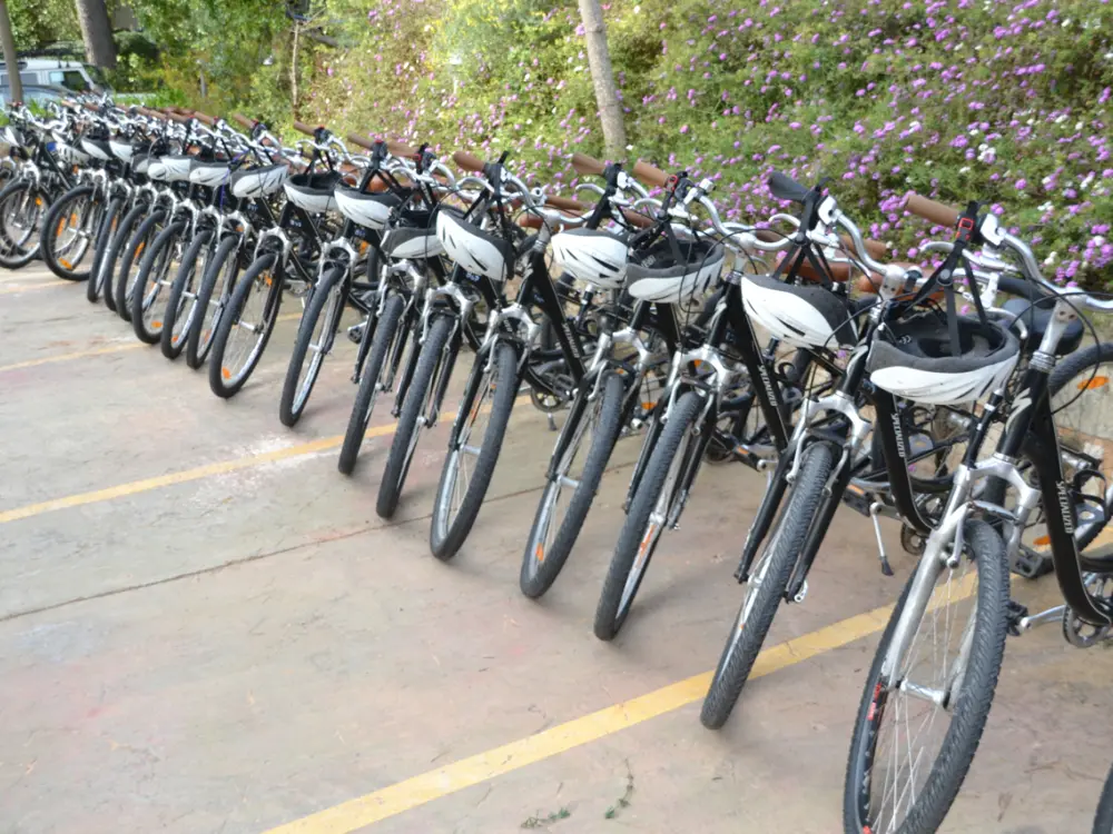 Fahrradtour beim Incentive auf Mallorca