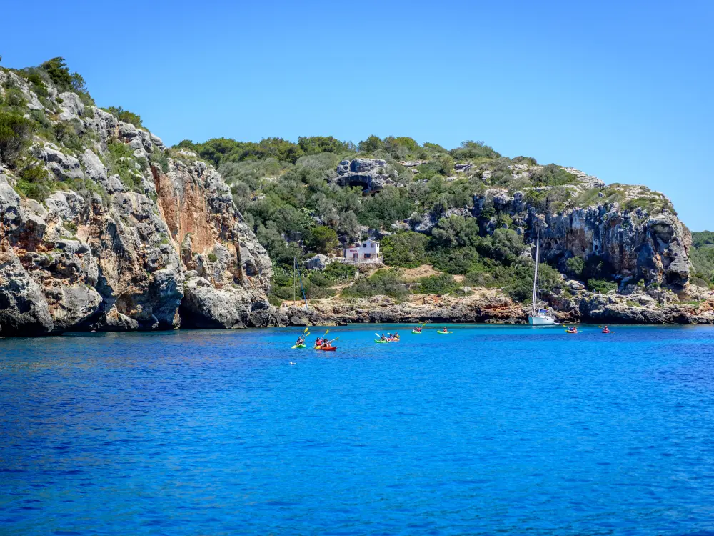 Kayak Tour Adventure