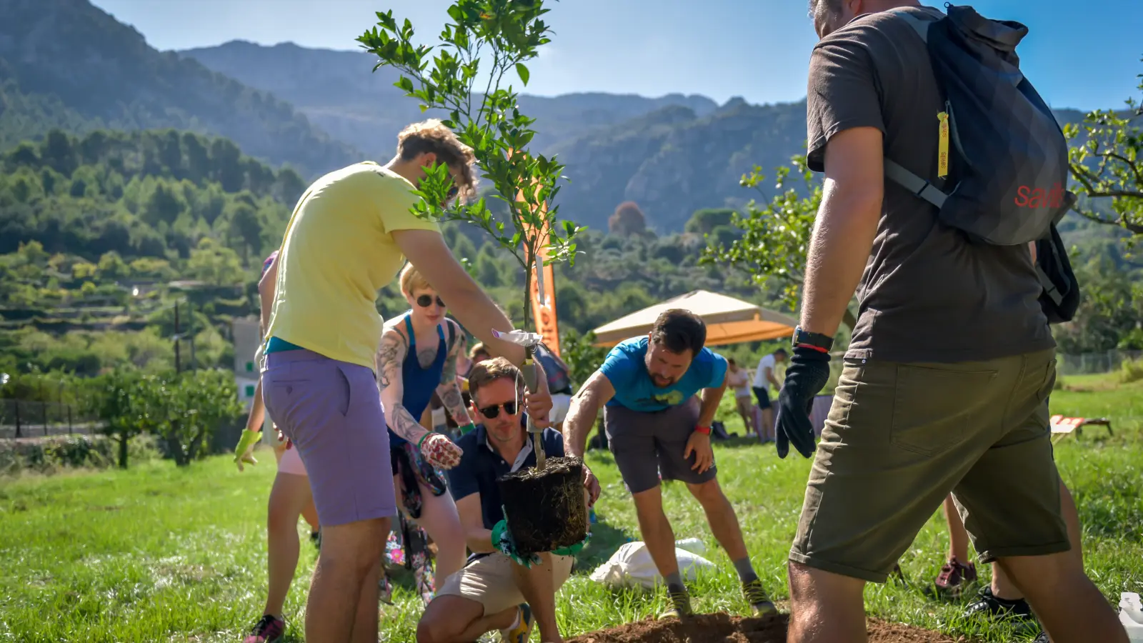 Add-On-Aktivität: Baum pflanzen auf Mallorca