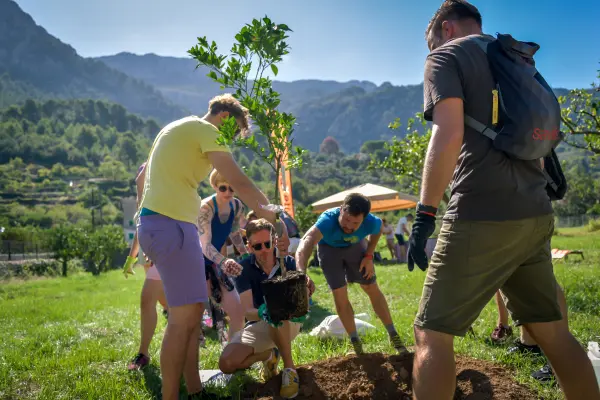 Ibiza Tree Planting