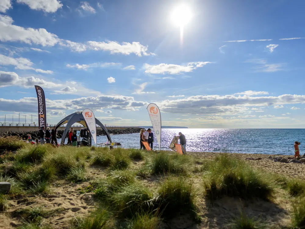 Beach Clean-Up Sustainability