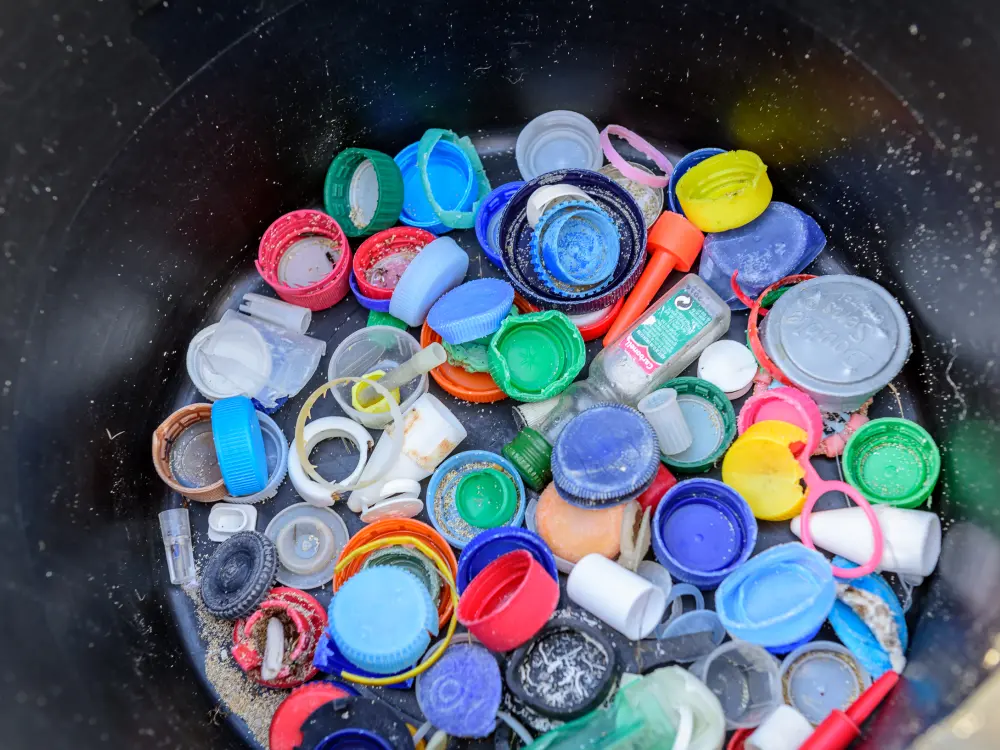 Beach Clean-Up Litter