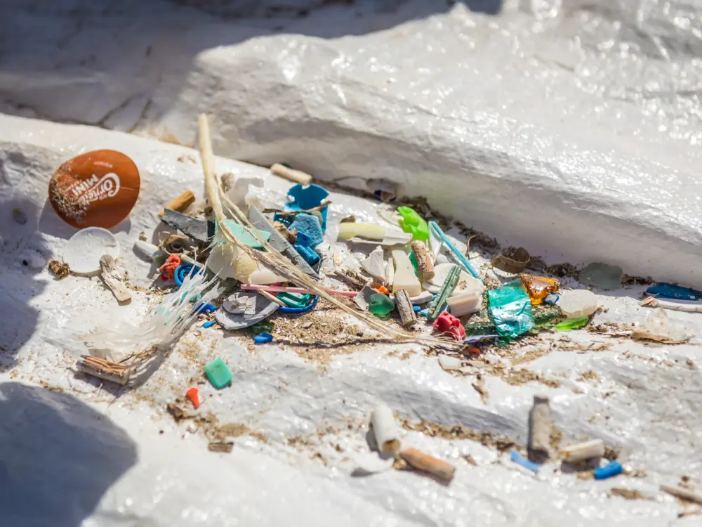 DSC5188
