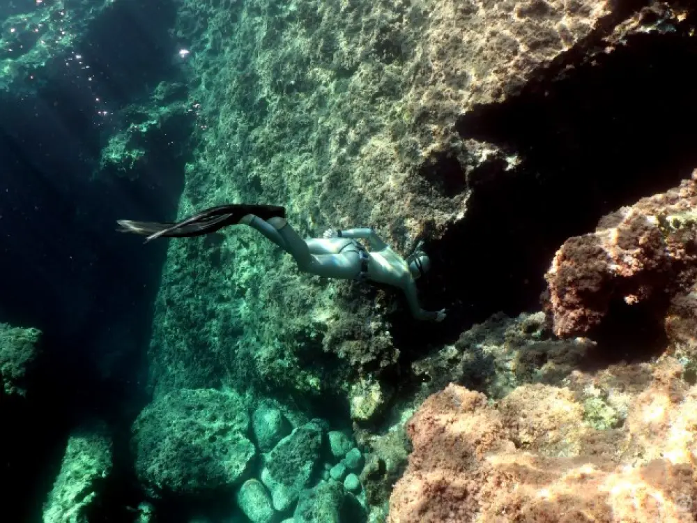 Diving Mediterranean