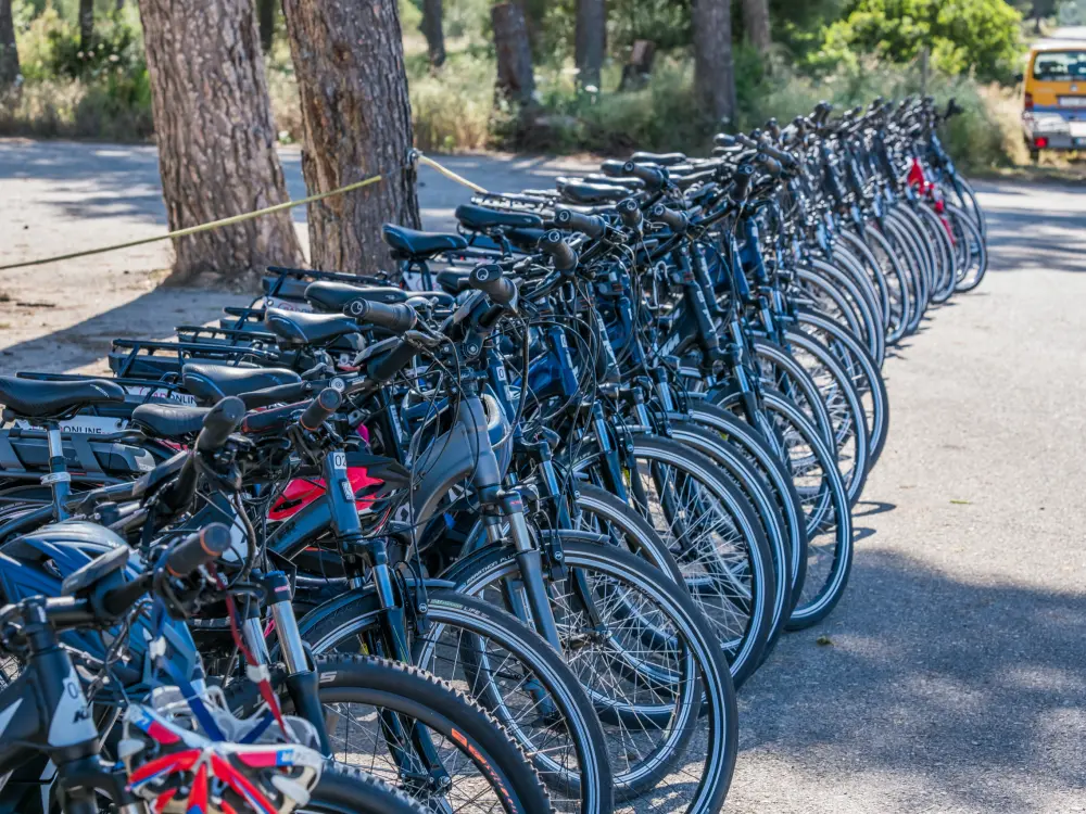 E-Bike Tour Group
