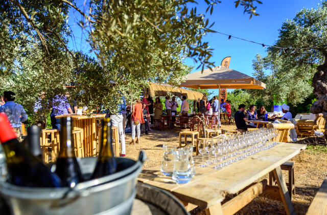 Event-Agentur-Mallorca-Incentive-Reise.jpg