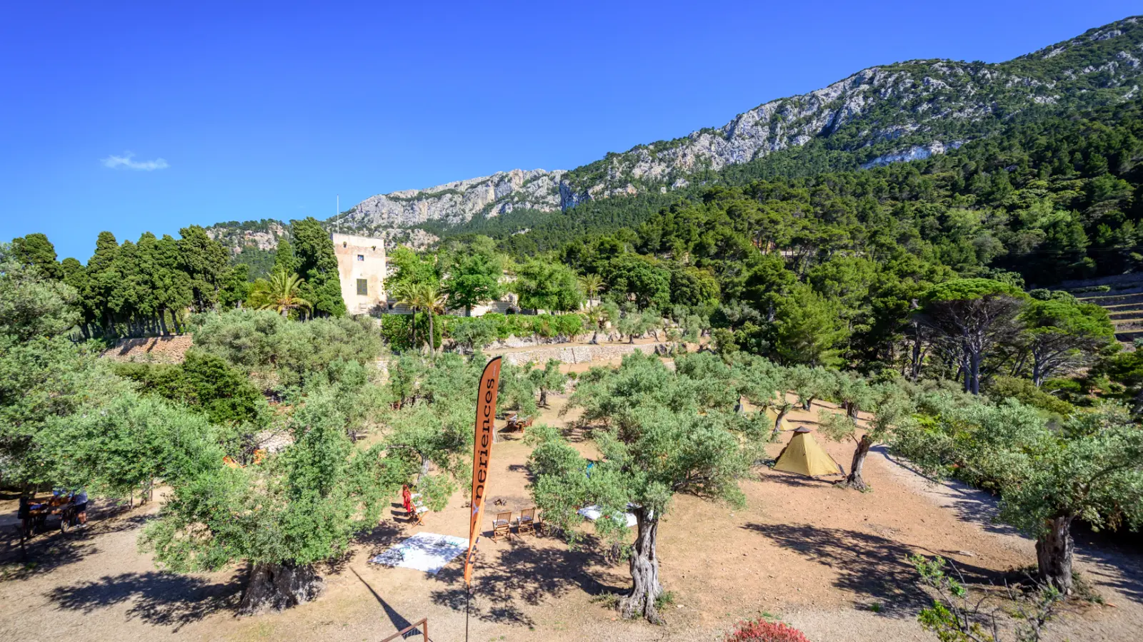 Event Management Coaching Mallorca2