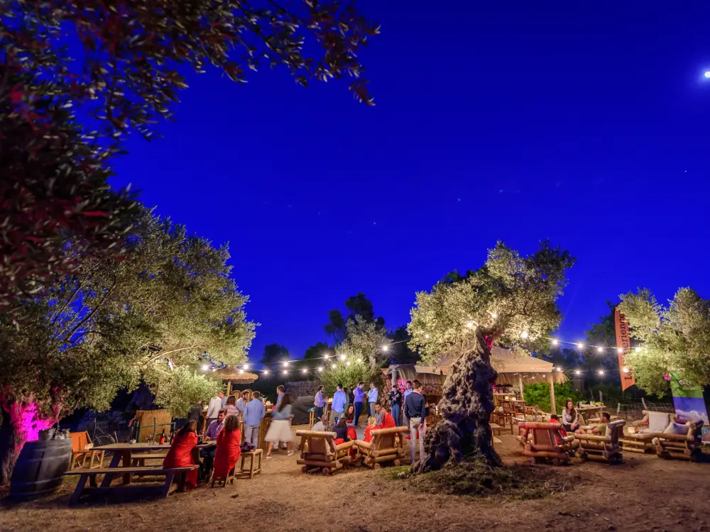 Event Management Mallorca Incentive Trip