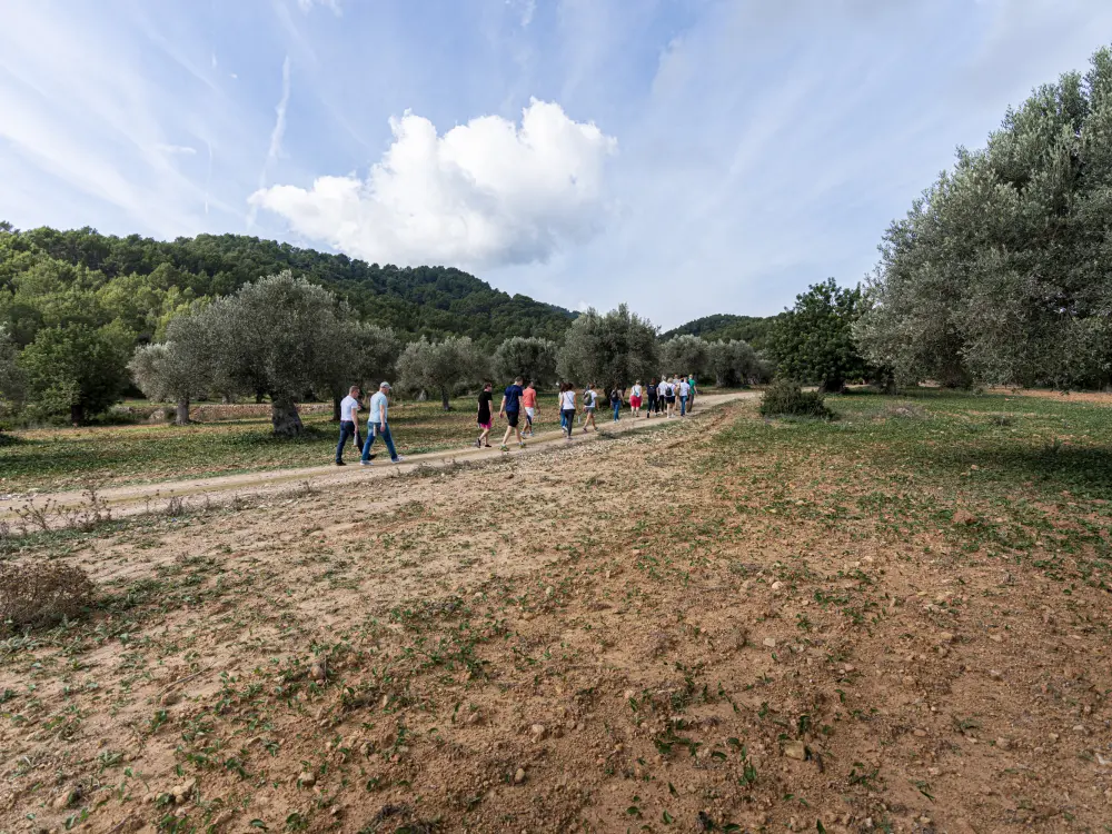 Event space Mallorca