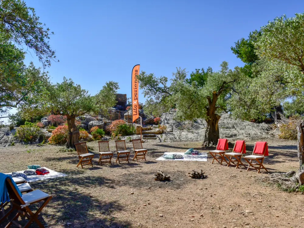 Eventagentur Coaching Mallorca