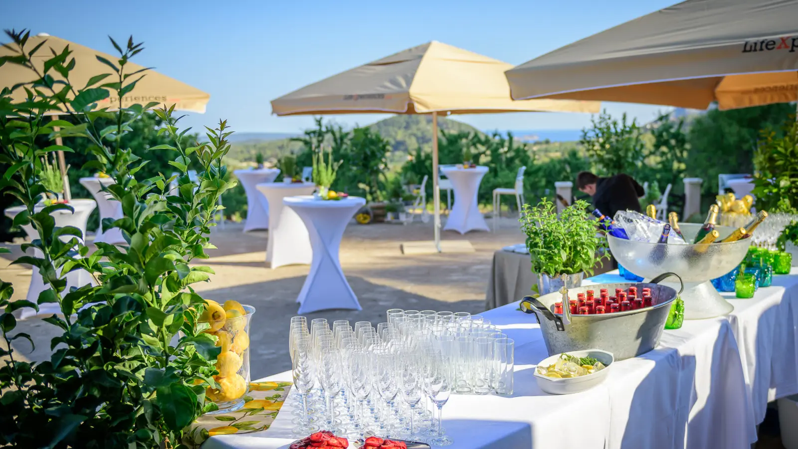 Exclusive private Party