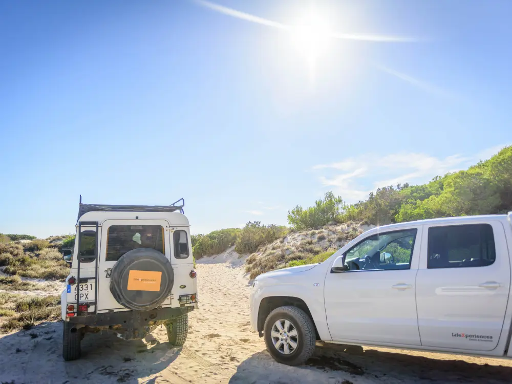 Glamping Incentive
