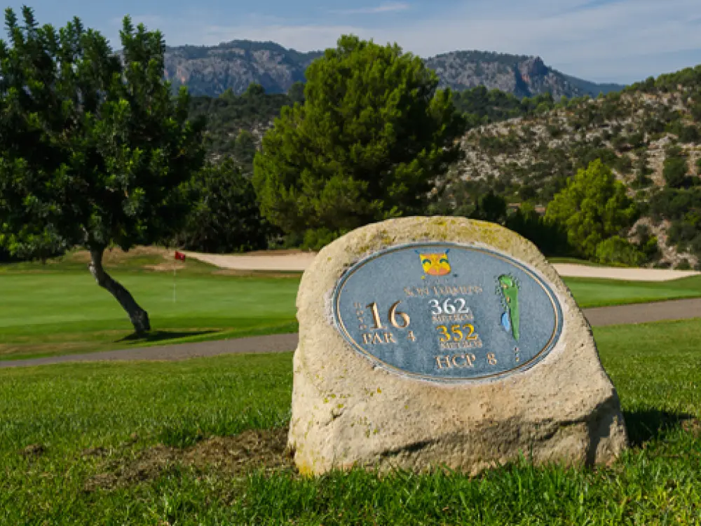 Golf Vistas
