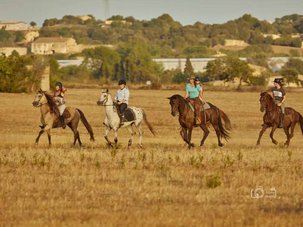 Guided Riding Excursion