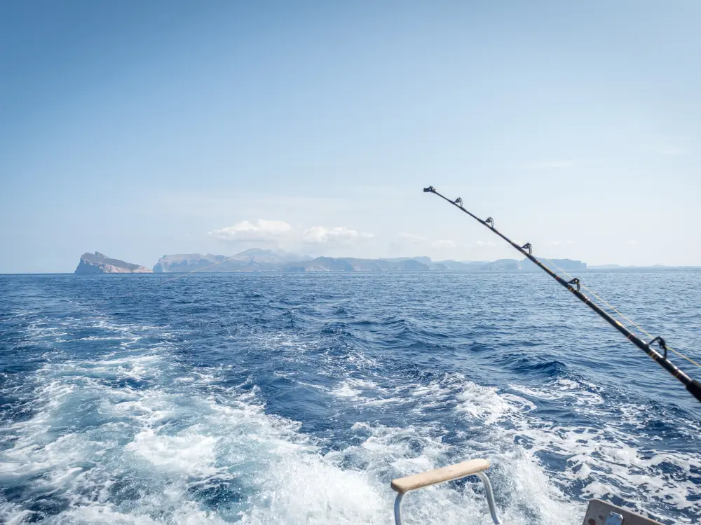 Deep Sea Fishing Nature
