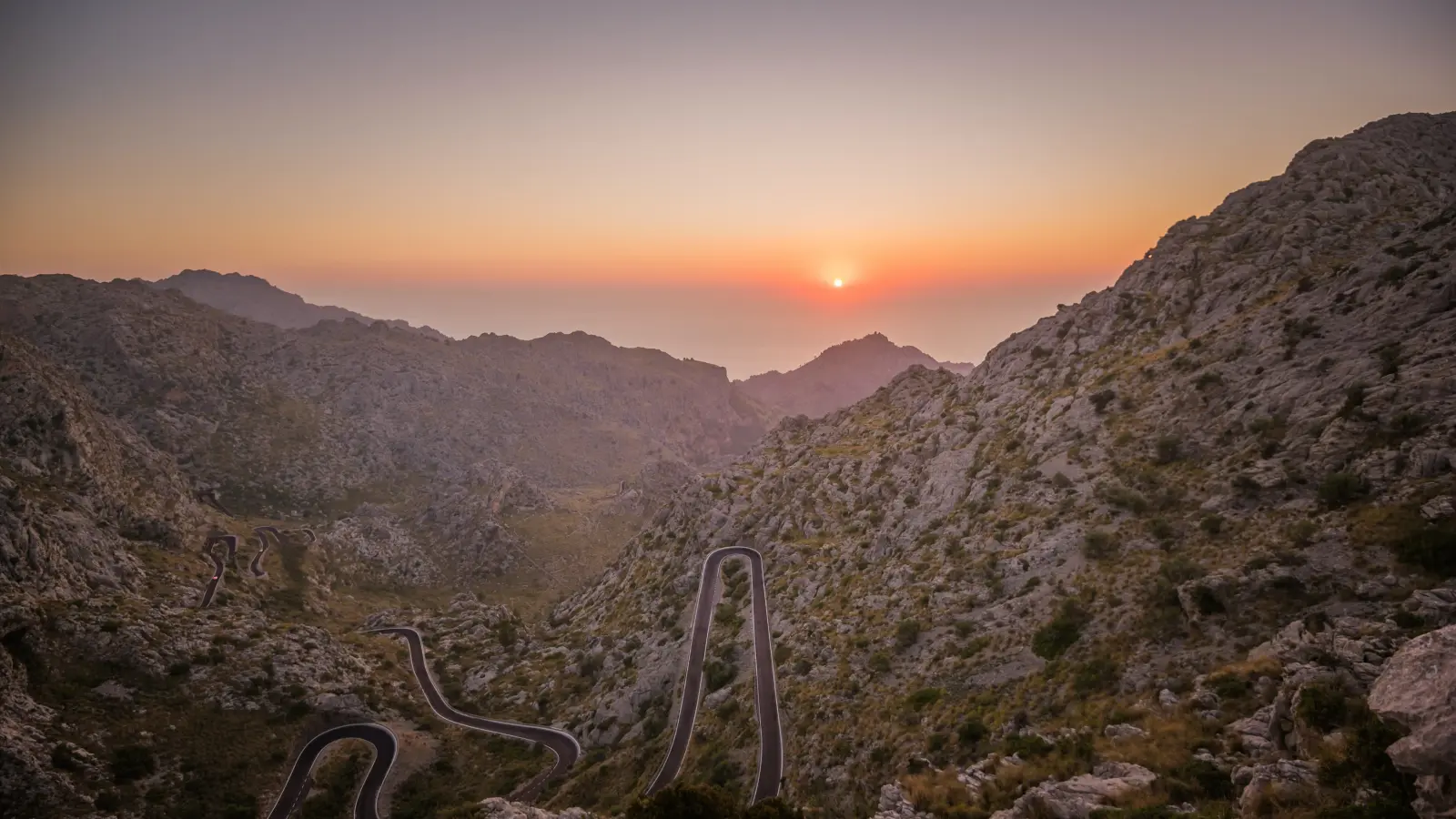 IKIGAI Coaching Mallorca