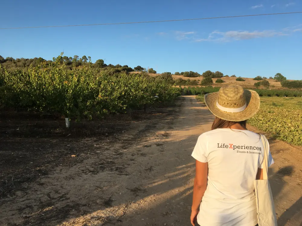 Zero Km Mallorca