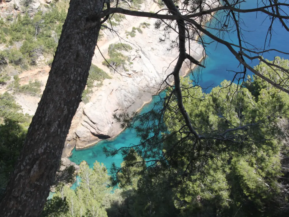 Wunderschöne Bucht auf Mallorca