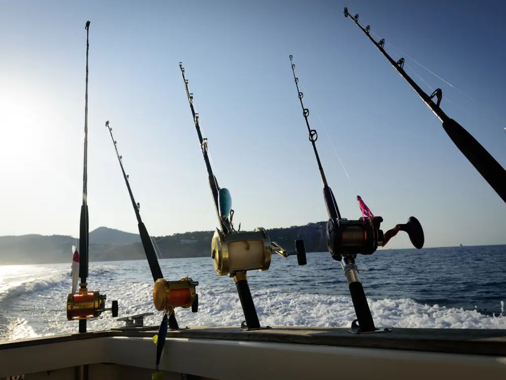 Deep Sea Fishing Incentive