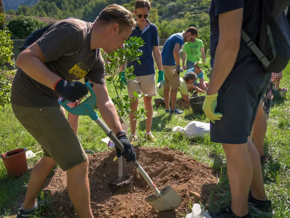Incentive Mallorca CSR