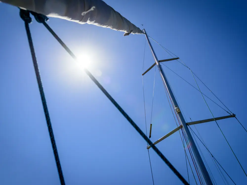 Sailing Regatta Sunshine