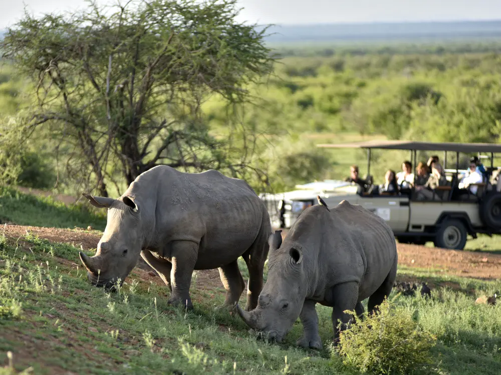Incentive Southafrica