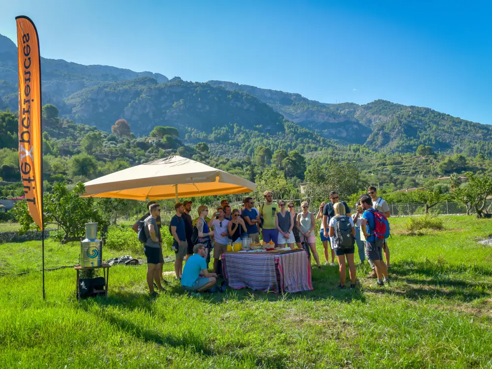 Incentives Mallorca CSR
