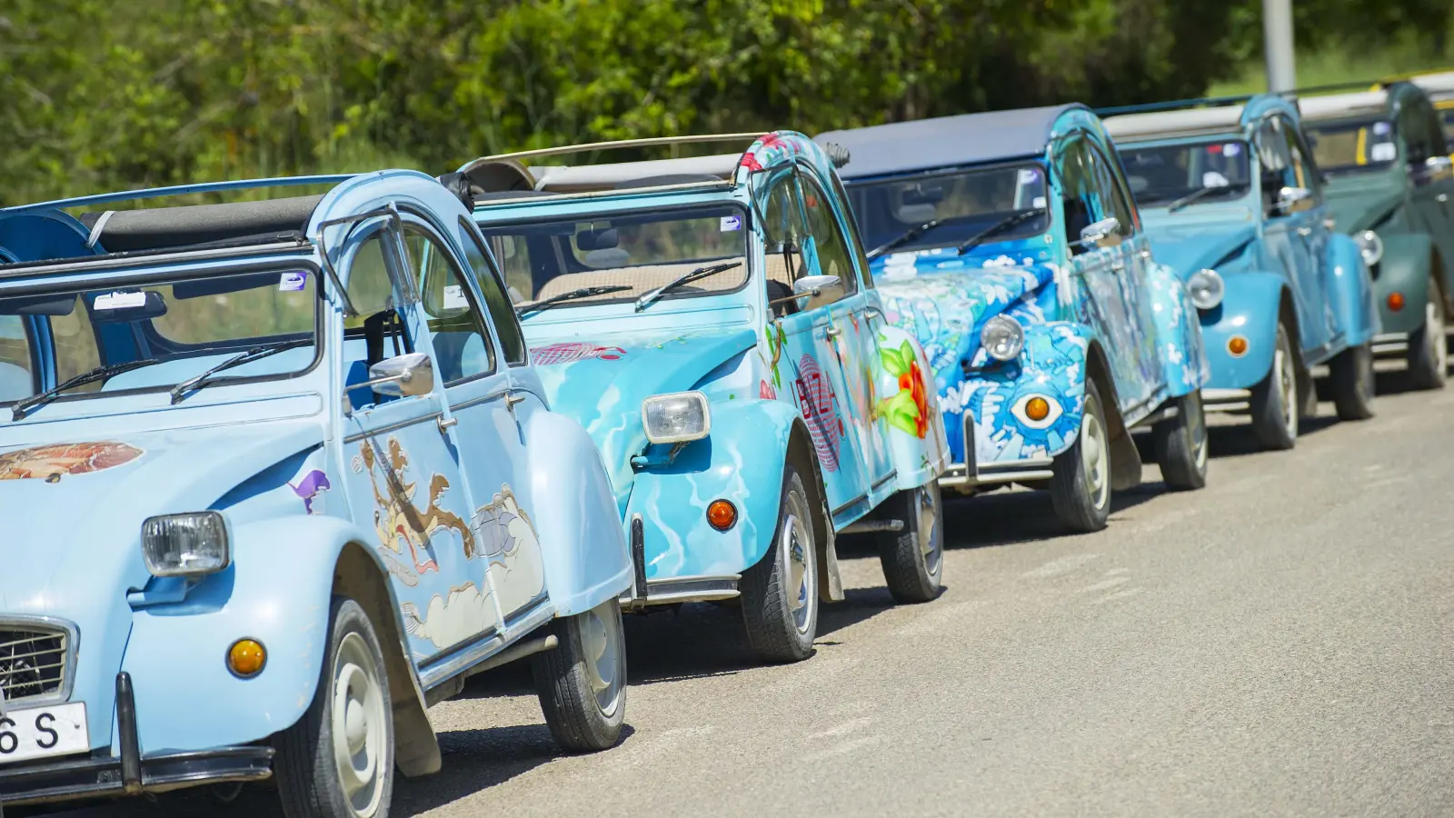 Hippie Car Tour
