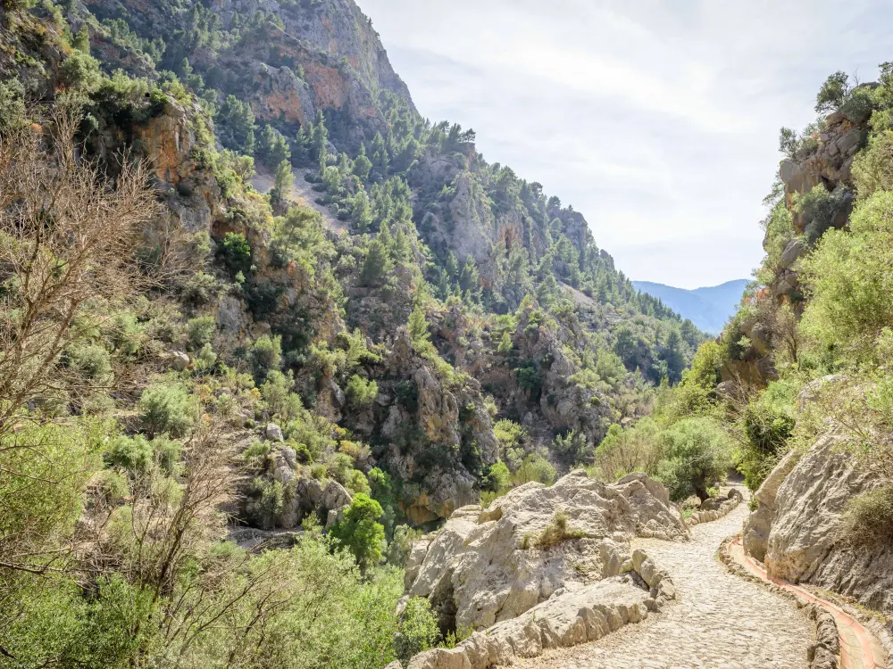 Inspirational Hike Nature