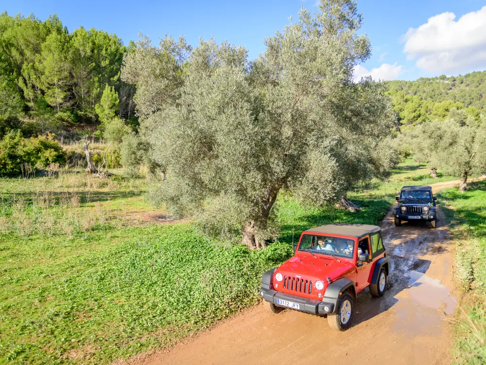 Jeep Rallye Incentive Ibiza 2