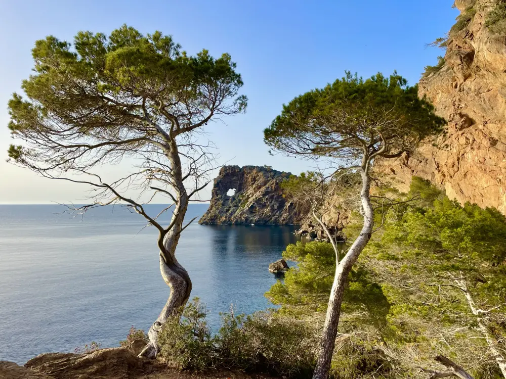 LifeXperiences DMC Authentic Mallorca2