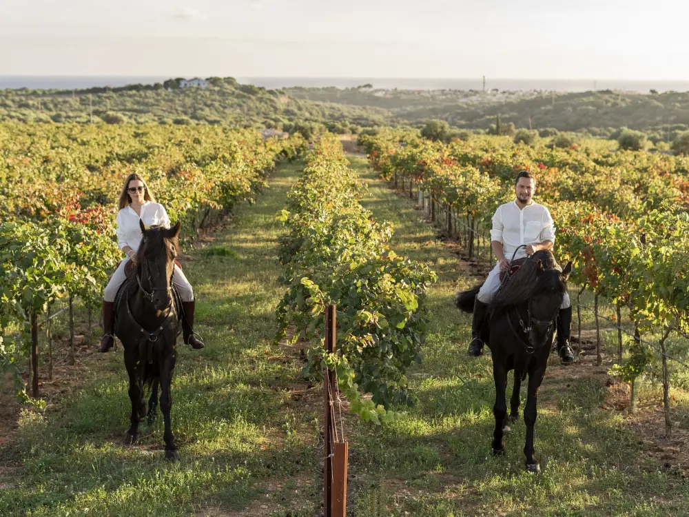 Luxury Travel LifeXperiences Menorca
